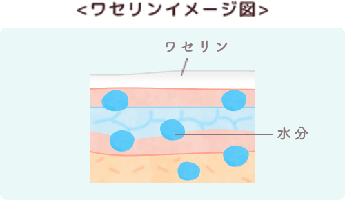 ワセリンイメージ図