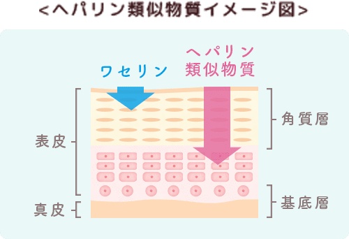 ヘパリン類似物質イメージ図