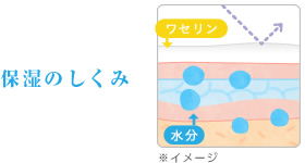 保湿のしくみ