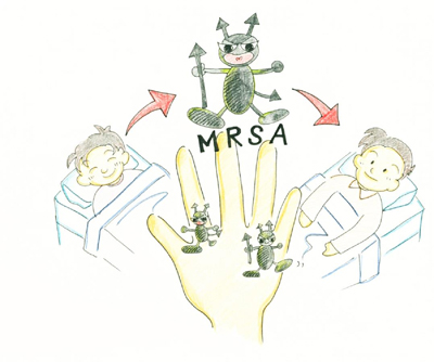 図1. MRSA汚染を受けた手指などを介して感染する