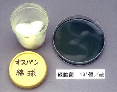 図1. 0.02%塩化ベンザルコニウム含浸綿球の緑膿菌汚染例