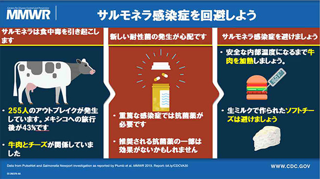 サルモネラ感染症を回避しよう