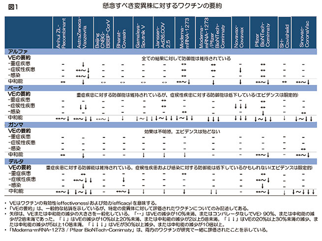 懸念すべき変異種に対するワクチンの要約