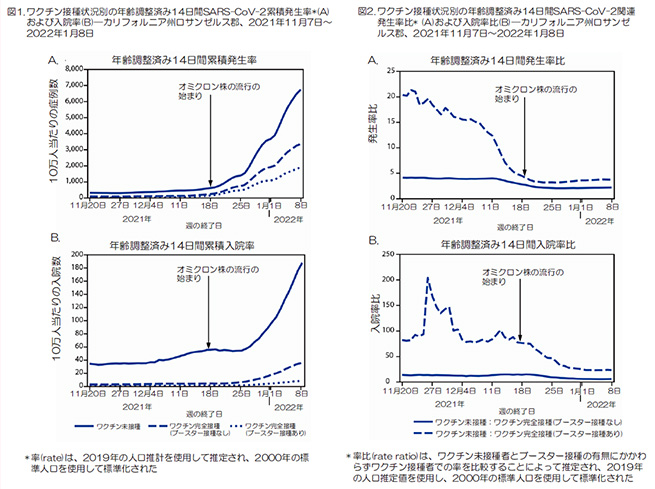 図1.ワクチン接種状況別の年齢調整済み14日間SARS-Co-V-2累積発生率*（A）および入院率（B）-カリフォルニア州ロサンゼルス郡、2021年11月7日～2022年1月8日　図2.ワクチン接種状況別の年齢調整済み14日間SAES-CoV-2関連発声比*（A）および入院率比（B）-カリフォルニア州ロサンゼルス郡、2021年11月7日～2022年1月8日