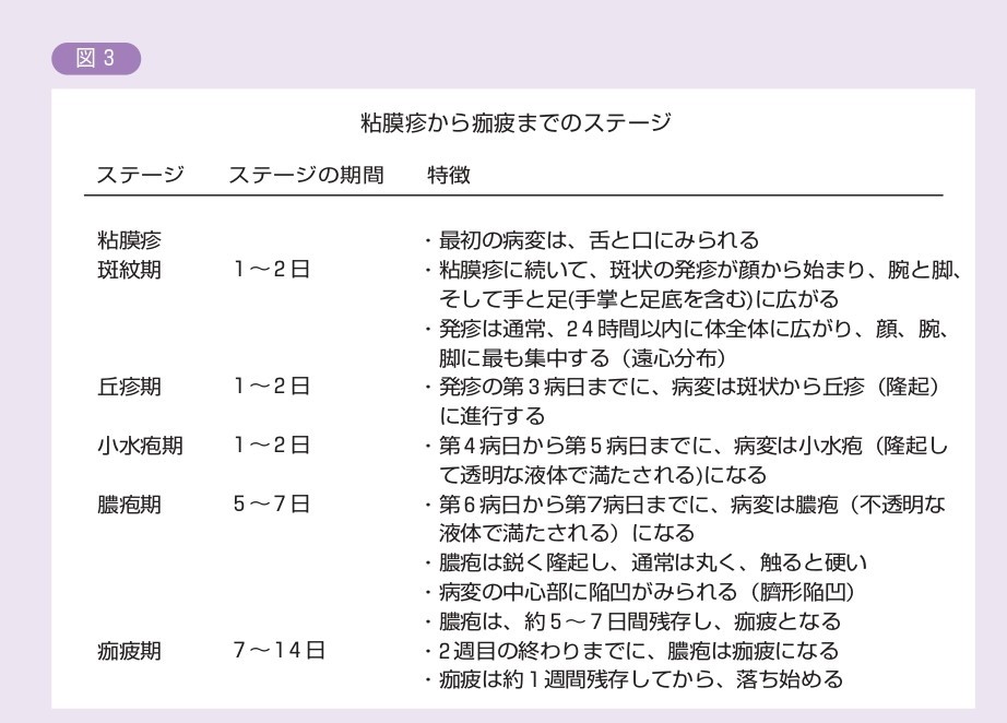 図3.粘膜疹から痂疲までのステージ