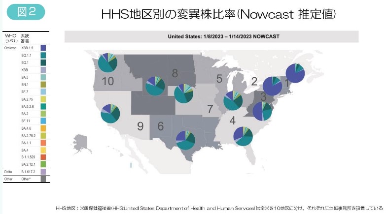 図2　HHS地区別の変異株比率（Nowcast 推定値）
