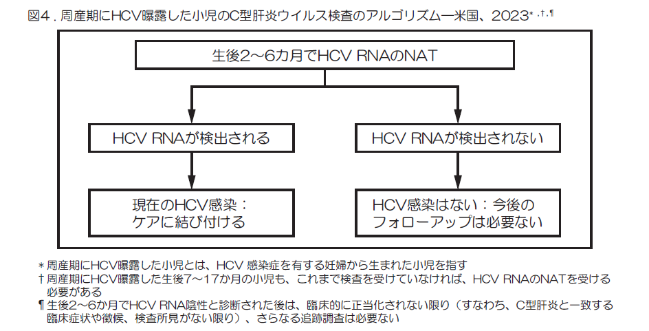  C型肝炎の検査