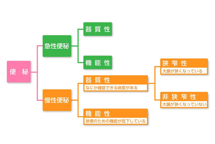 Vol 47 医師監修 体がだるい原因は便秘かも 放置する危険性や試してみたい解消法を紹介 コラム 便秘解消 酸化マグネシウムe便秘薬 健栄製薬