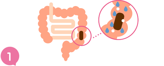マグネシウムが腸管から水分を集める画像