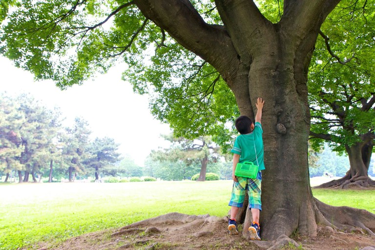 汗ばむ季節の虫よけ対策に効果的！ハッカ油とワセリンを使った虫よけバーム