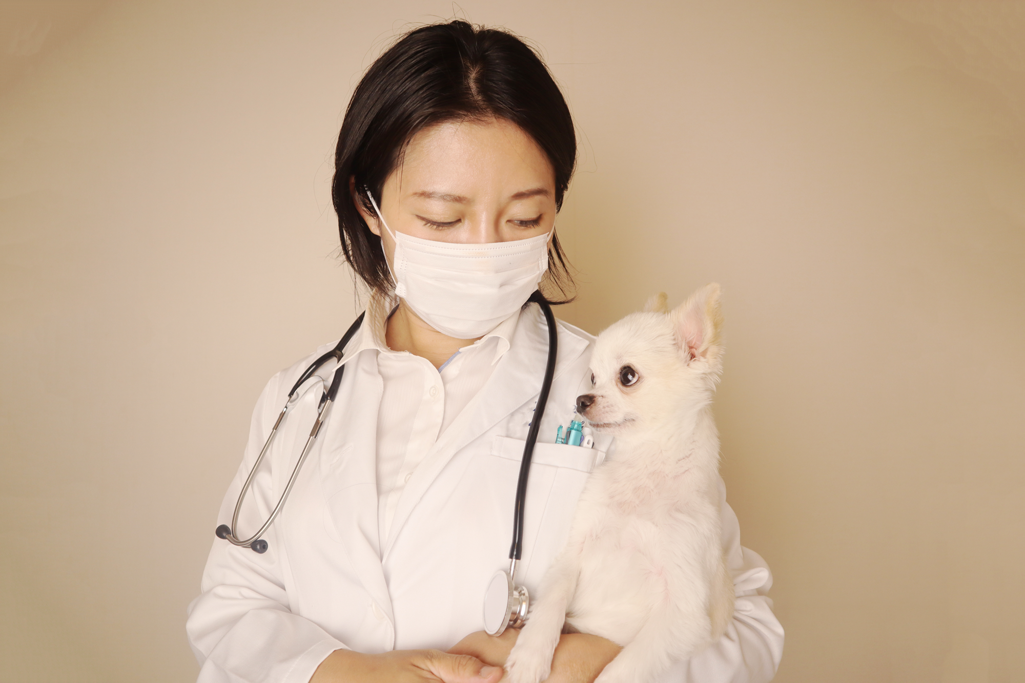 犬もインフルエンザにかかる 症状や予防対策 人間への感染について インフルエンザ予防について 健栄生活