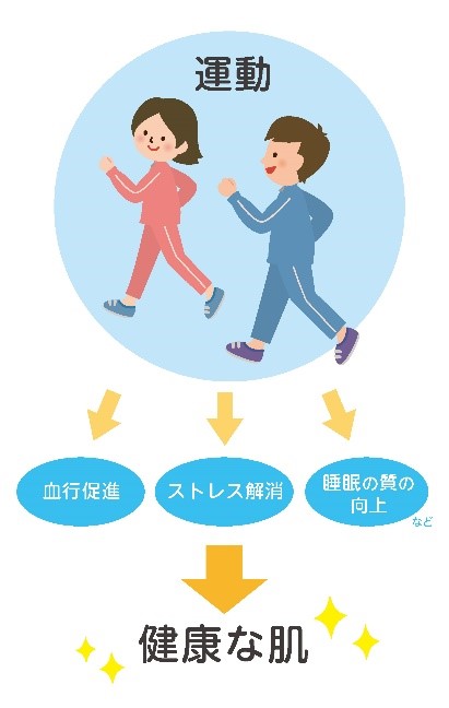 医師監修 運動不足が肌に与える影響とは 乾燥肌の原因を知りしっかり対策しよう