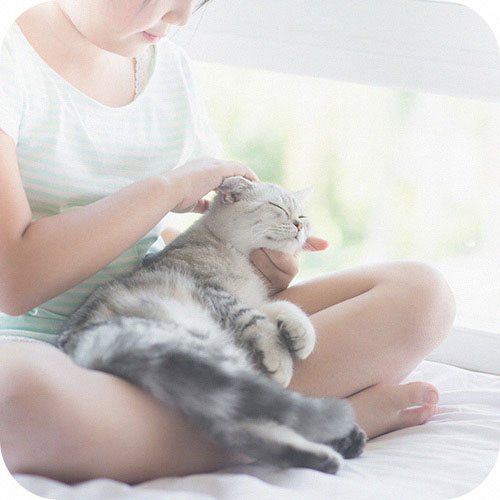 ペットを飼っている場合に気をつけたいことのイメージ写真