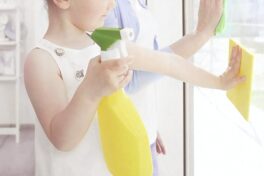 使わないなんてもったいない｜ハッカ油は万能ハウスクリーナー
