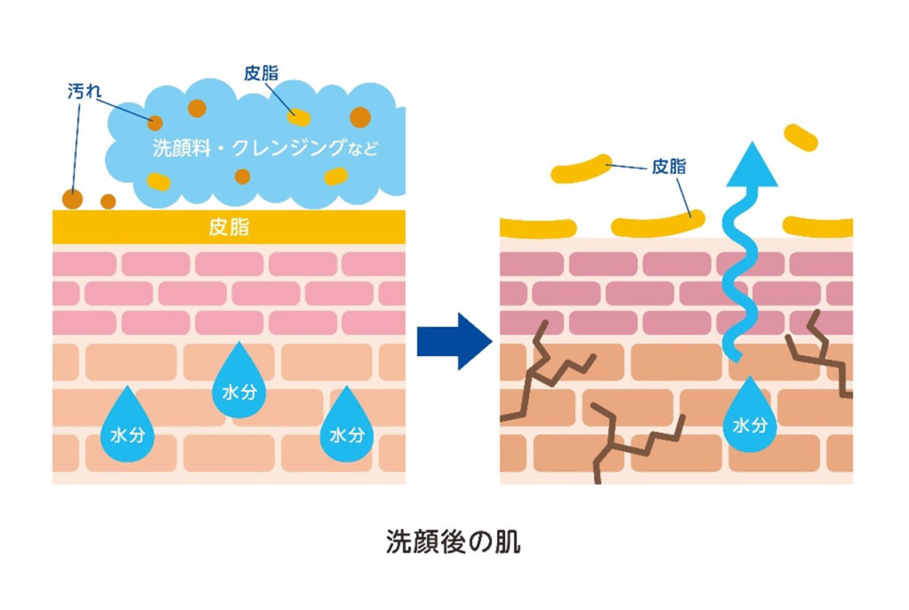 洗顔後の肌イメージ