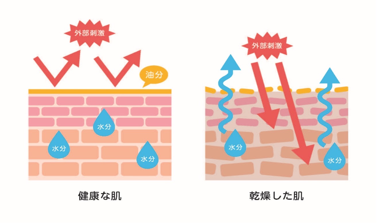 シェア画像