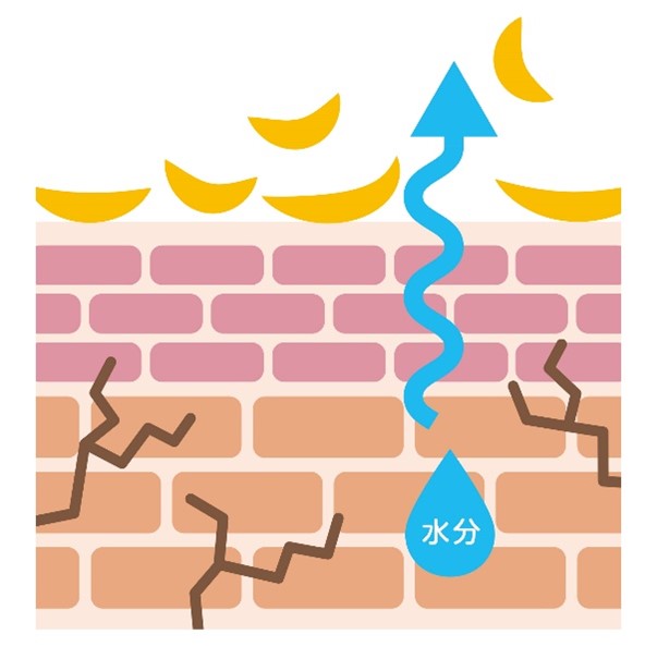 医師監修 皮むけを伴う乾燥肌の原因は 仕組みと予防方法を解説 乾燥肌治療薬ヒルマイルド 健栄製薬