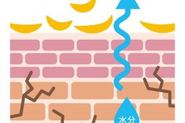皮むけを伴う乾燥肌の原因は？仕組みと予防方法を解説