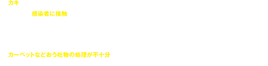 1 カキなどの二枚貝を生、あるいは十分に加熱調理しないで食べて感染する。 2 家庭内で感染者を看病することでヒトからヒトへ感染する。 3 おう吐物やふん便などで汚れたトイレや食器、衣類などに触れ、手を介して口から体内に入り込んで感染する。 4 感染者のおう吐物やふん便が飛び散り、しぶきを吸い込んで感染する。 5 カーペットなどおう吐物の処理が不十分であり、乾燥し歩行などにより空中に舞い上がったウイルスを吸い込んで感染する。