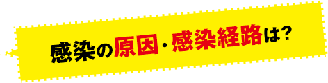 感染の原因・感染経路は？