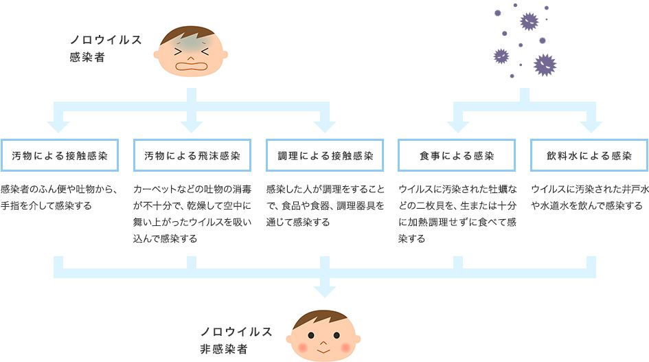 ノロウイルスの感染経路