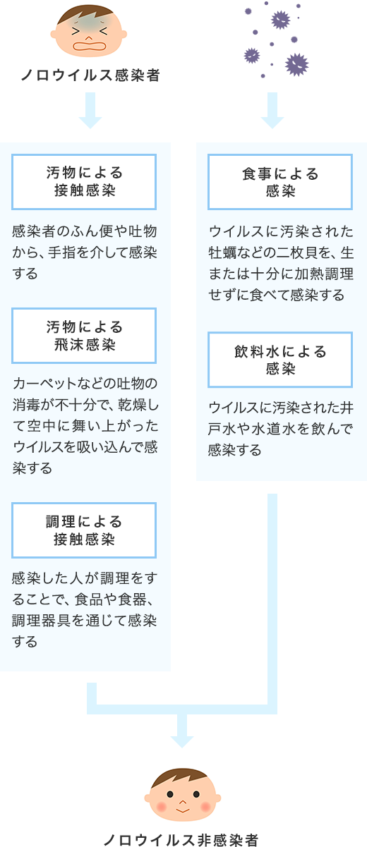 ノロウイルスの感染経路