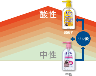 ピカ ロハコ 手 手ピカジェルプラス 300mL