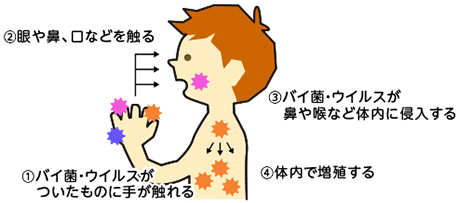バイ菌・ウイルスは、「手」を介して感染します
