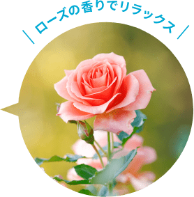 ローズの香りでリラックス
